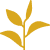 green tea 1 -